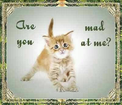 Subway | meal takeaway | 3703 Peck Rd Unit E, El Monte, CA 91731, USA | 6264424300 OR +1 626-442-4300