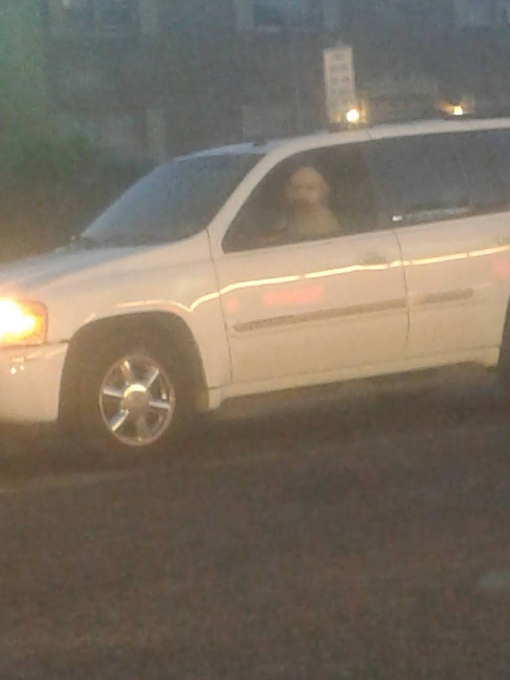 China Hut | restaurant | 738 E Bayview Blvd #2, Norfolk, VA 23503, USA | 7575888100 OR +1 757-588-8100