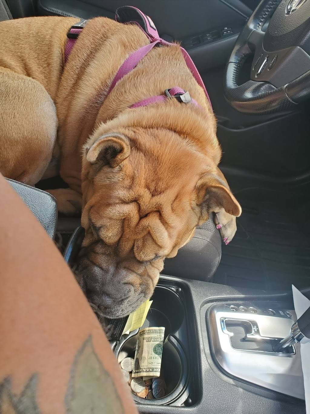 Pizza Luce | meal delivery | 2200 E Franklin Ave, Minneapolis, MN 55404, USA | 6123322535 OR +1 612-332-2535