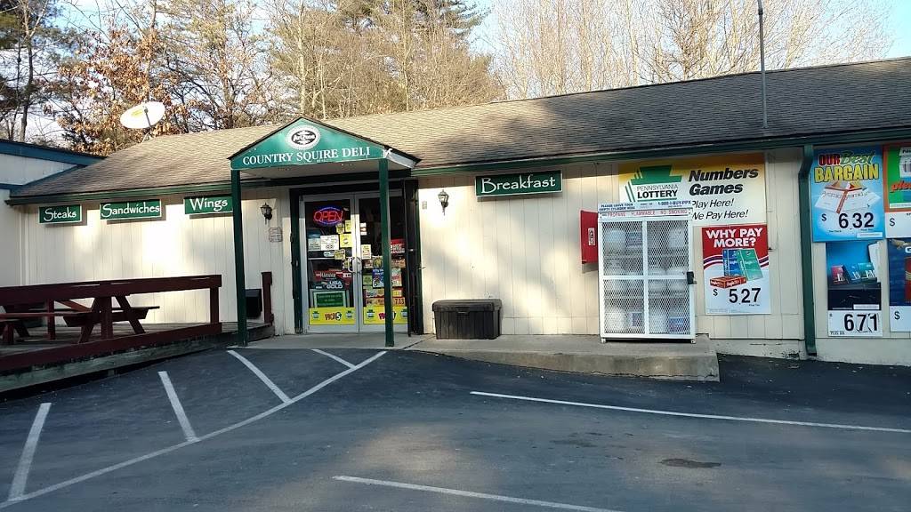 Country Squire Deli | restaurant | Winona Falls Rd, Bushkill, PA 18324, USA | 5705889212 OR +1 570-588-9212