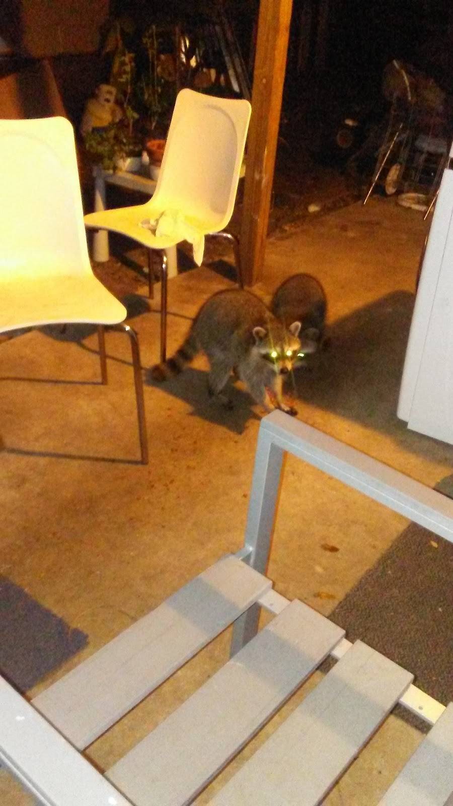 Snappers Fish & Chicken | restaurant | 8995 NW 7th Ave, Miami, FL 33150, USA | 3057584484 OR +1 305-758-4484