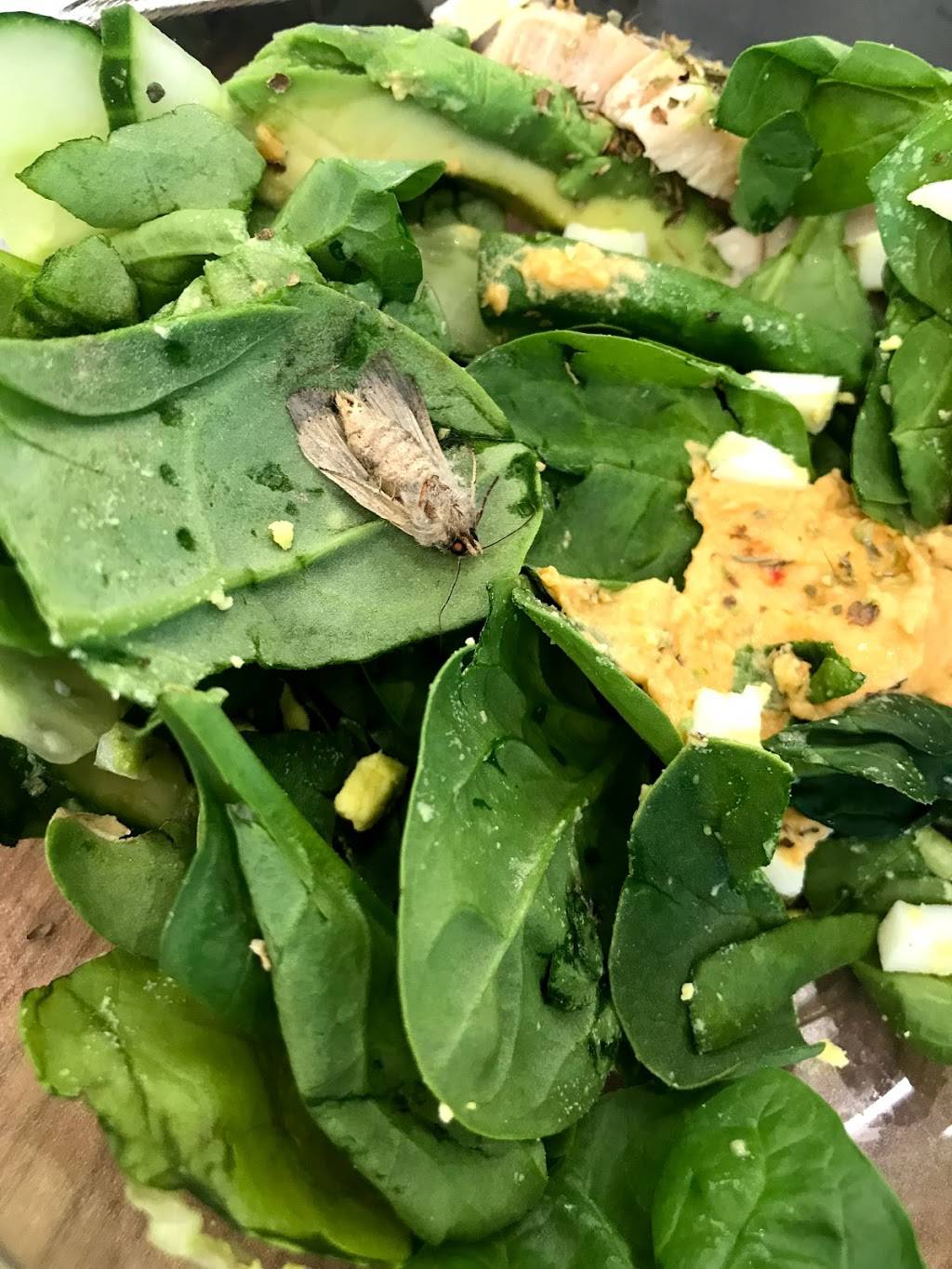 Potbelly Sandwich Shop | restaurant | 100 Harborside Drive Terminal, C Space No 48, Boston, MA 02128, USA | 6178744047 OR +1 617-874-4047