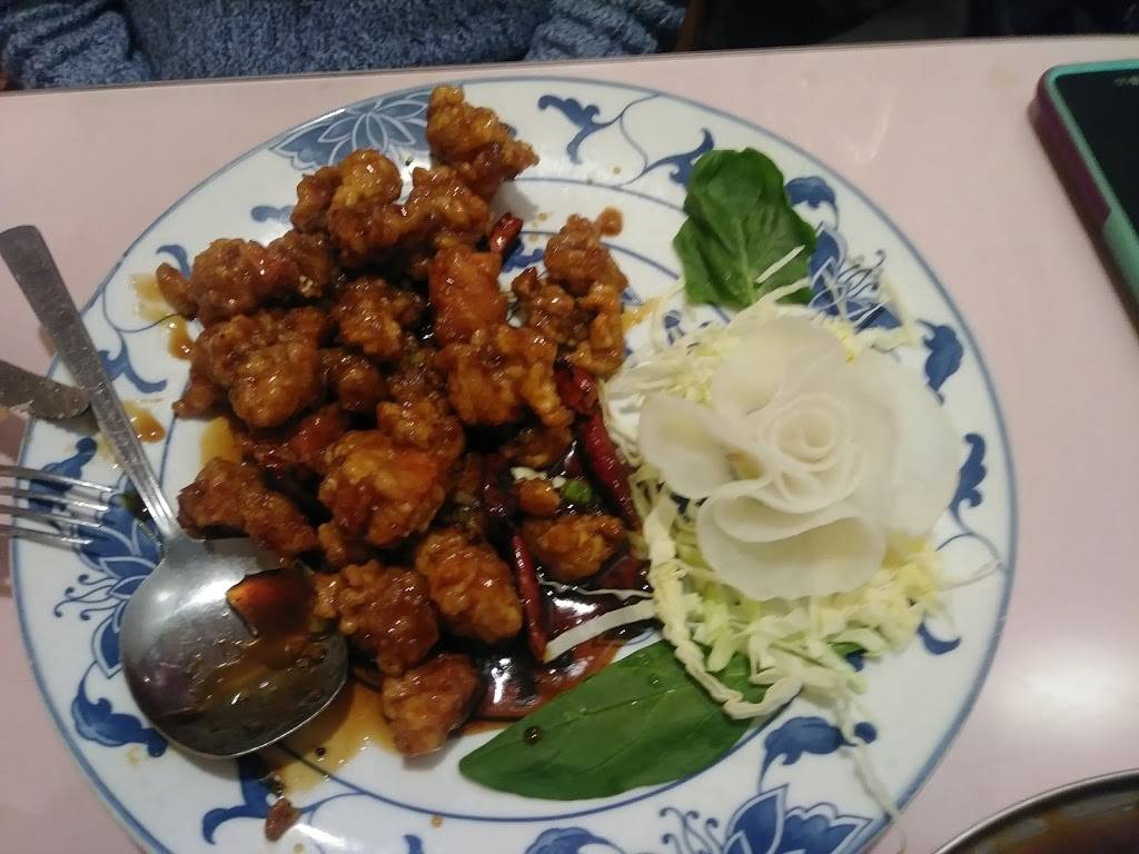 Szechuan Delight | restaurant | 24011 Linden Blvd, Elmont, NY 11003, USA | 5162856088 OR +1 516-285-6088