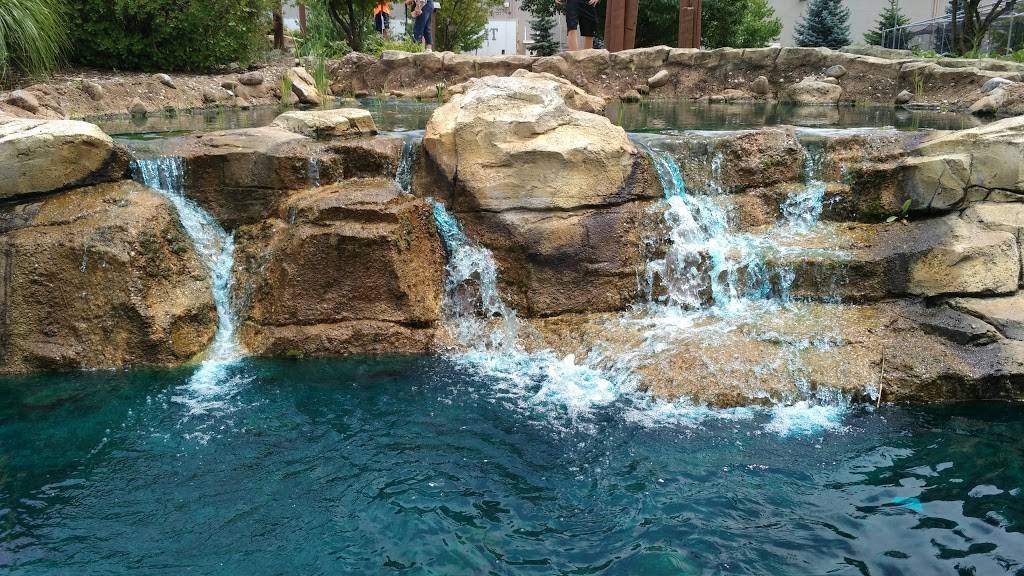 Wilderness Falls | meal takeaway | 145 Clow International Pkwy, Bolingbrook, IL 60490, USA | 6303788888 OR +1 630-378-8888