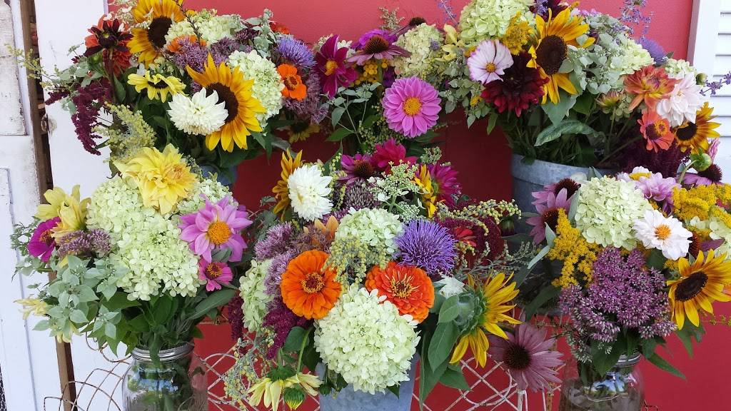 Katama General Store | meal takeaway | 170 Katama Rd, Edgartown, MA 02539, USA | 5086275071 OR +1 508-627-5071