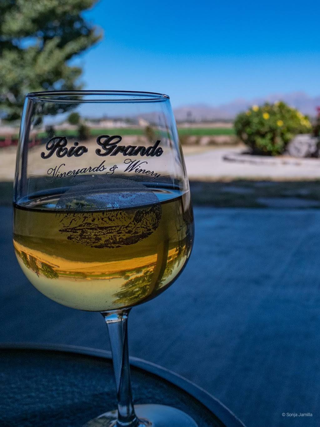 Rio Grande Vineyard & Winery | restaurant | 5321 Avenida de Mesilla, Las Cruces, NM 88005, USA | 5755243985 OR +1 575-524-3985