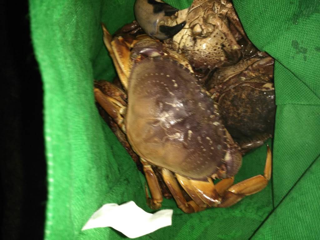 India Beach | restaurant | 425 Ave Alhambra, Half Moon Bay, CA 94019, USA | 6507127700 OR +1 650-712-7700