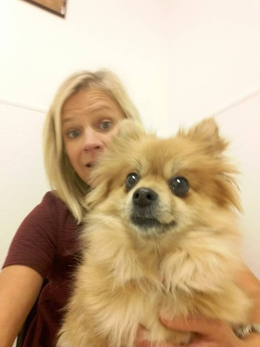 Swagath Indian Vegetarian Restaurant | restaurant | 14504 NE 20th St, Bellevue, WA 98007, USA | 4252145800 OR +1 425-214-5800