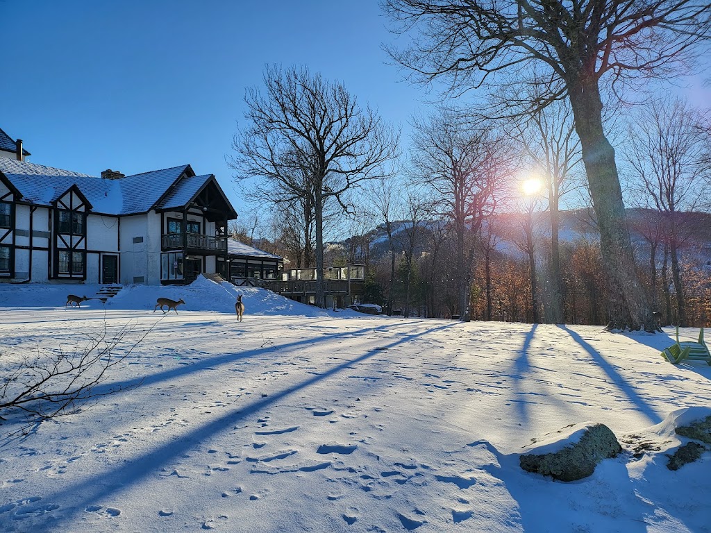 Beech Alpen Inn | restaurant | 700 Beech Mountain Pkwy, Beech Mountain, NC 28604, USA | 8283872252 OR +1 828-387-2252