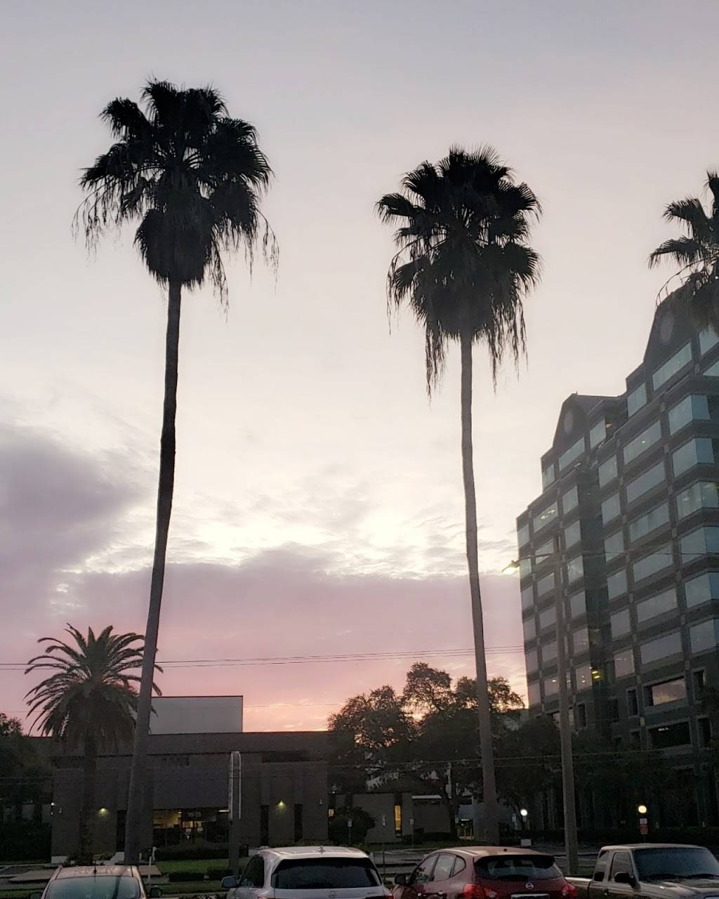 Starbucks | cafe | 1508 N Westshore Blvd, Tampa, FL 33607, USA | 8136399677 OR +1 813-639-9677