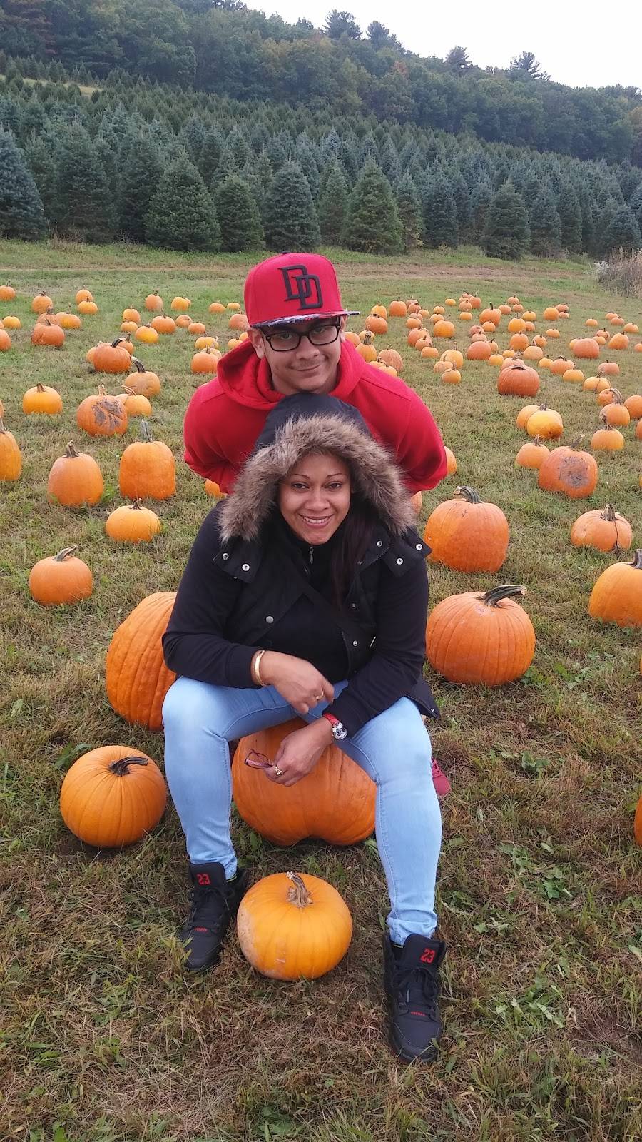 Pigout Roasting | restaurant | 1155 Strohls Valley Rd, Lehighton, PA 18235, USA | 6106816738 OR +1 610-681-6738