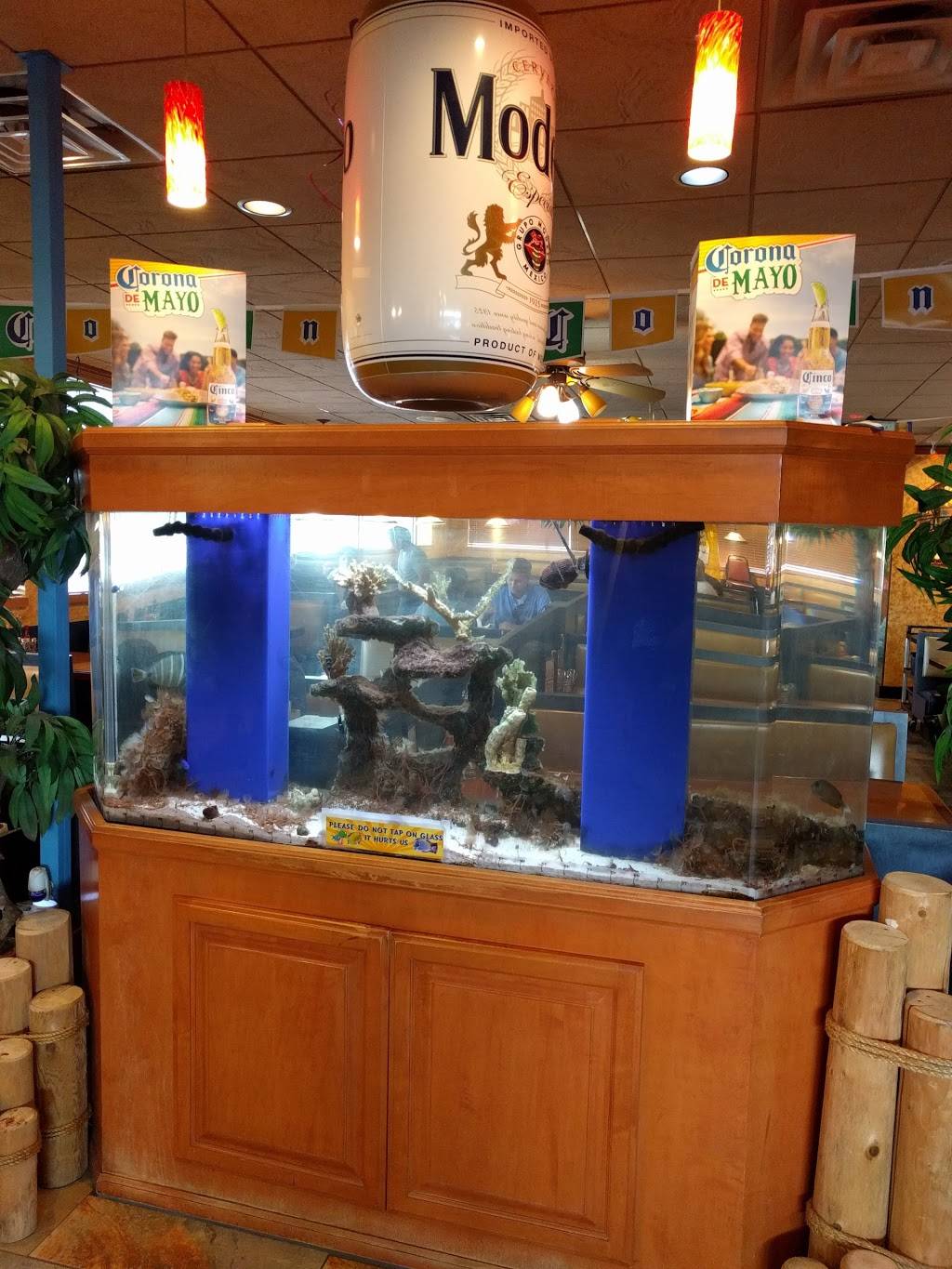 El Patio Mexican Restaurant | restaurant | 2891 E Big Beaver Rd, Troy, MI 48083, USA | 2485280106 OR +1 248-528-0106