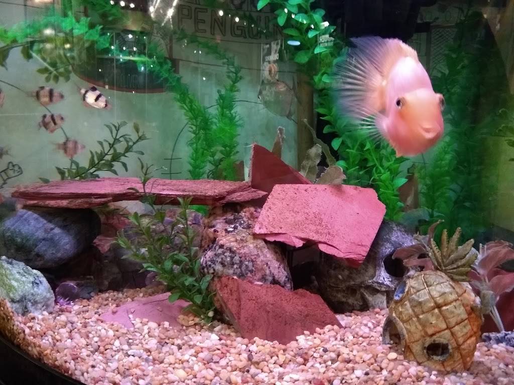 Pita Pit | restaurant | 2763 E Carson St unit c-105, Pittsburgh, PA 15203, USA | 4124817482 OR +1 412-481-7482