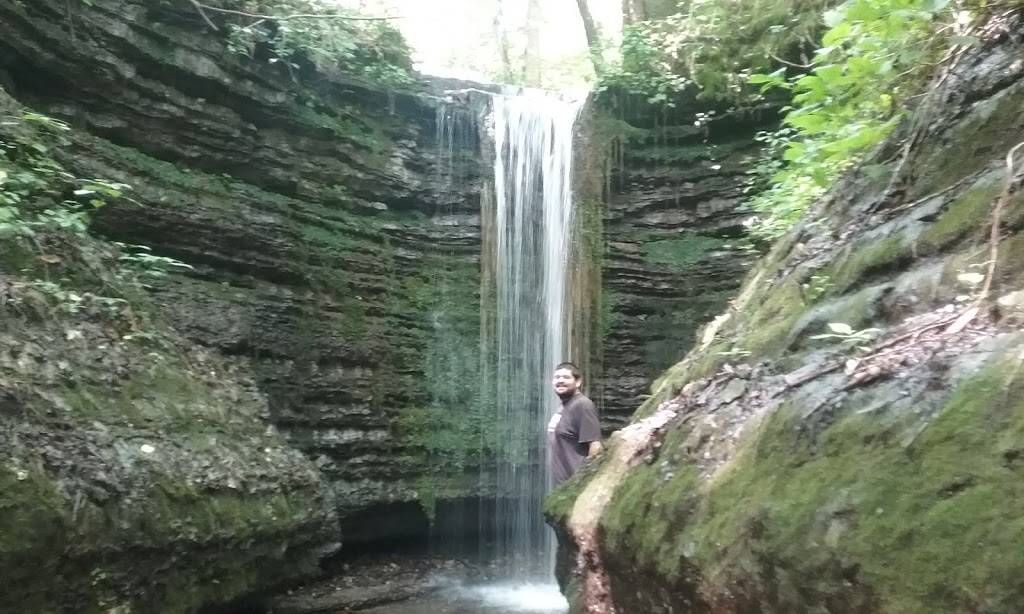 Granny Fishes House | restaurant | 340 Shipman Creek Rd, Wartrace, TN 37183, USA | 9318574025 OR +1 931-857-4025