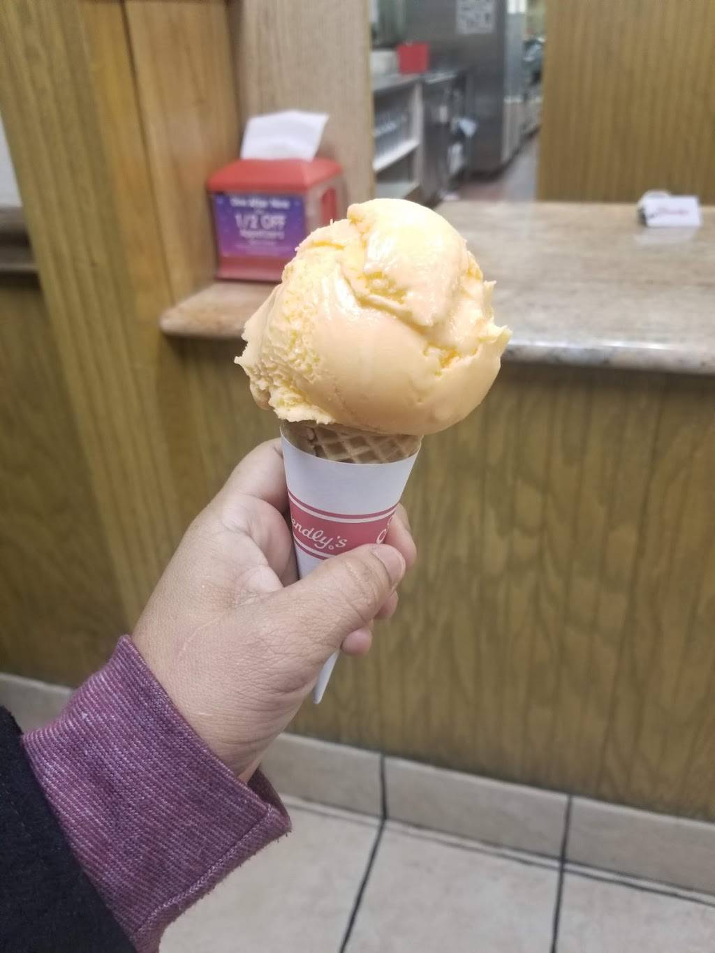 Friendlys | restaurant | 220 Mt Pleasant Rd, Smithtown, NY 11787, USA | 6313614974 OR +1 631-361-4974