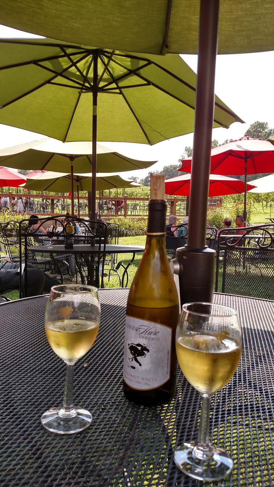 Running Hare Vineyard | restaurant | 150 Adelina Rd, Prince Frederick, MD 20678, USA | 4104148486 OR +1 410-414-8486