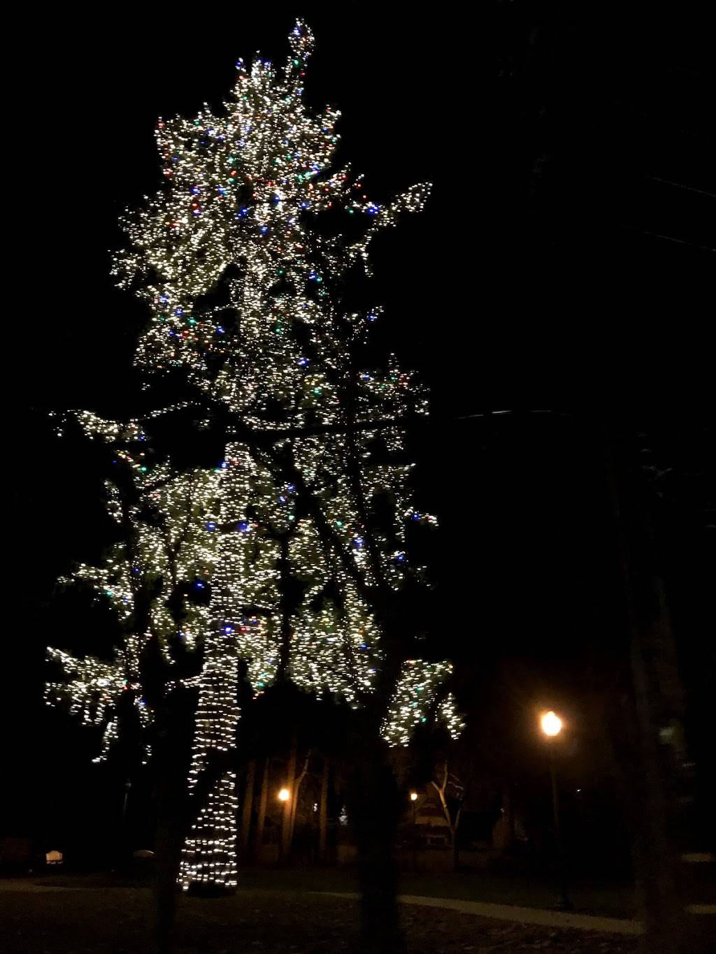 Chef Kwans | restaurant | 630 Menlo Ave, Menlo Park, CA 94025, USA | 6503224631 OR +1 650-322-4631