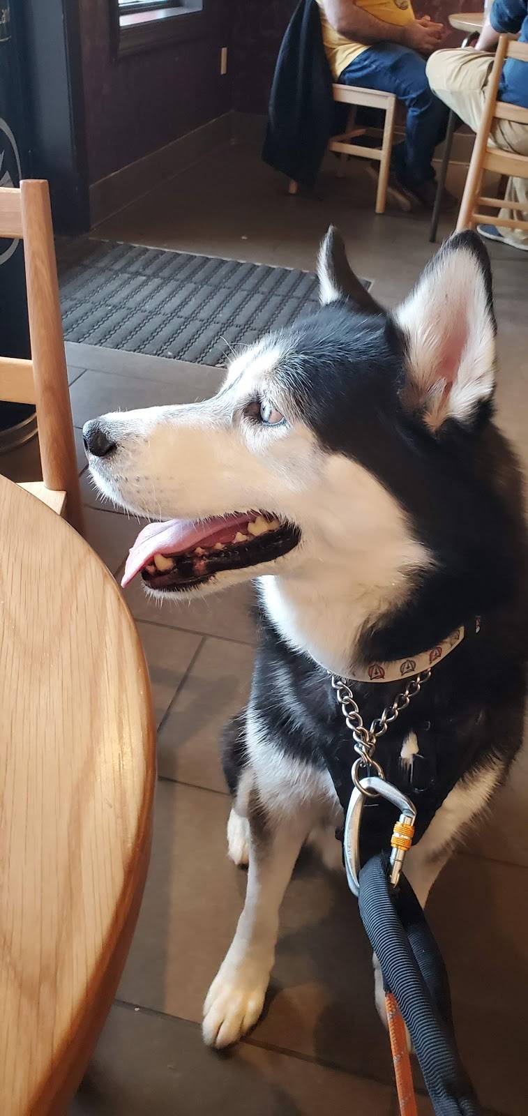 Starbucks | cafe | 5623 Stone Rd, Centreville, VA 20120, USA | 7035024845 OR +1 703-502-4845