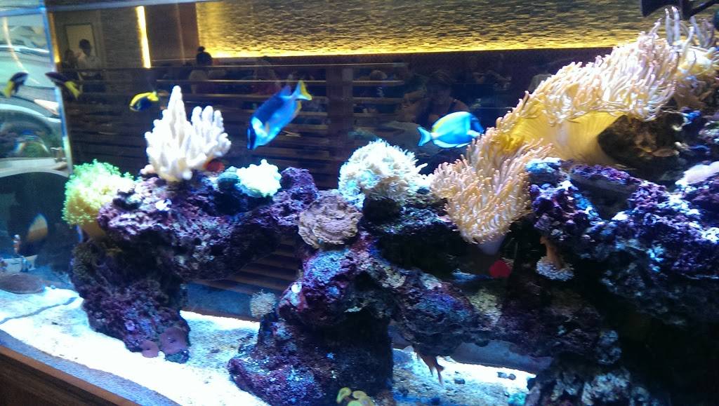 Chis Chinese Cuisine | restaurant | 9635 Reseda Blvd, Northridge, CA 91324, USA | 8188866928 OR +1 818-886-6928