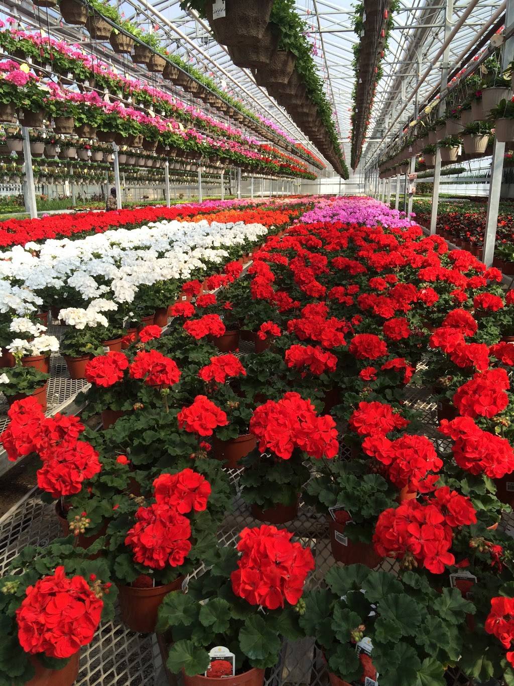 Wildhagen Greenhouses | restaurant | 7291 Milburough Line, Milton, ON L0P 1B0, Canada | 9056898427 OR +1 905-689-8427