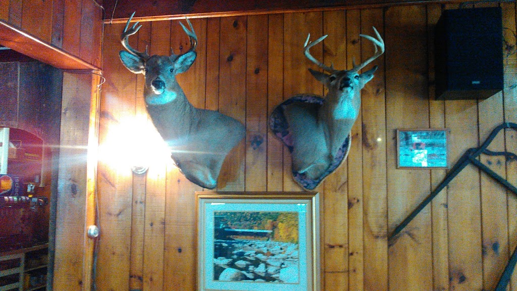 Forksville Inn & Tavern Inc. | restaurant | 5048 PA-87, Forksville, PA 18616, USA | 5709243916 OR +1 570-924-3916