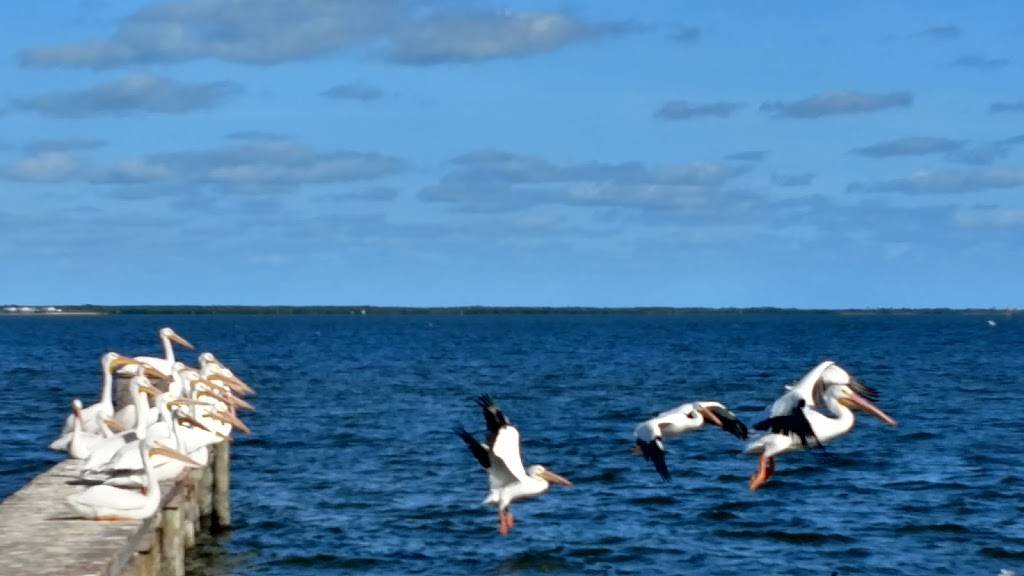 Judah & Son | restaurant | 13390 N Indian River Dr, Sebastian, FL 32958, USA | 7725895315 OR +1 772-589-5315