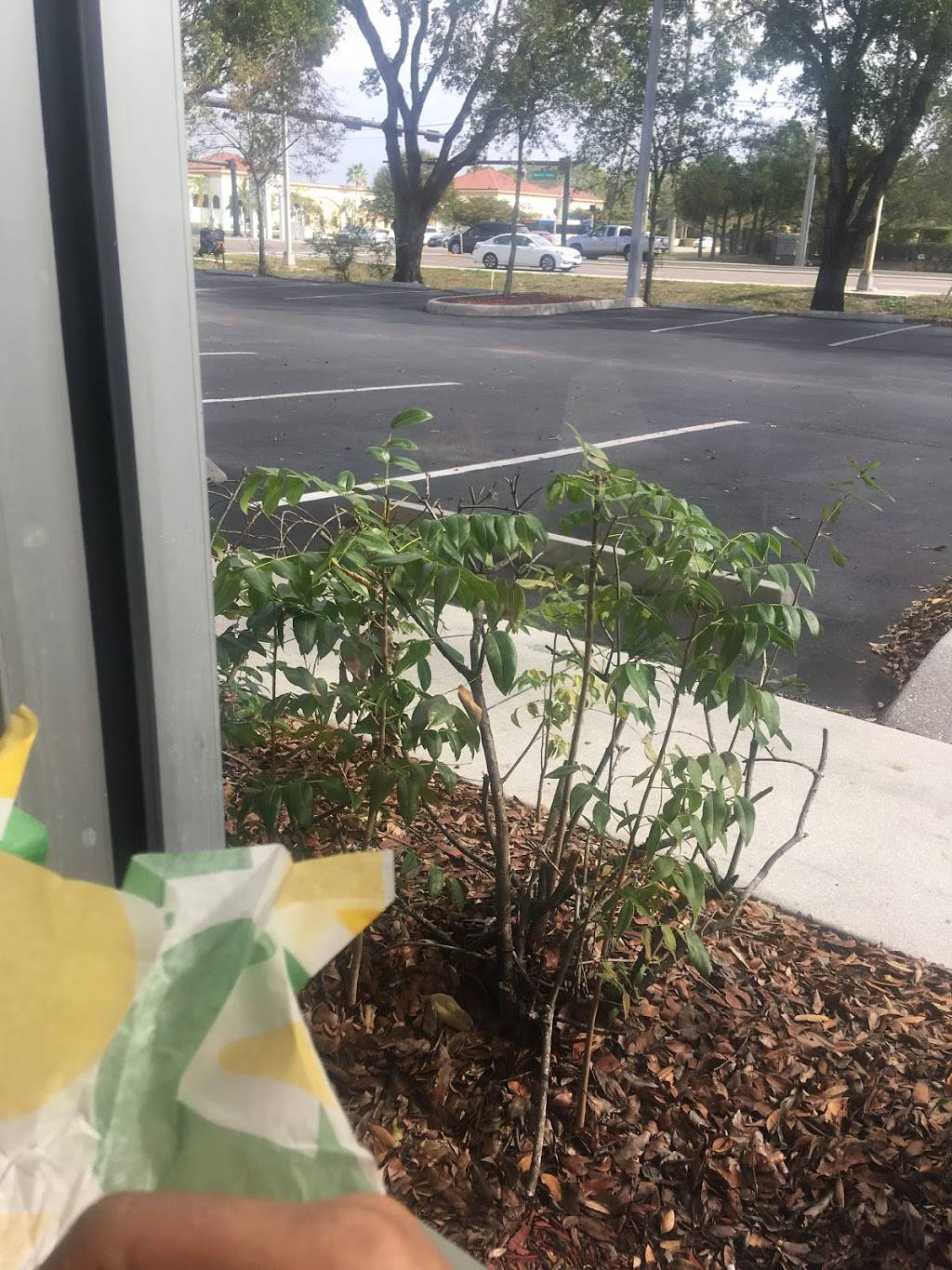 Subway | restaurant | 4125 Cleveland Ave, Fort Myers, FL 33901, USA | 2392746004 OR +1 239-274-6004