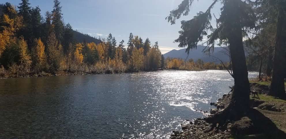 The Old #3 | restaurant | 8381 WA-903, Ronald, WA 98940, USA | 5096493301 OR +1 509-649-3301