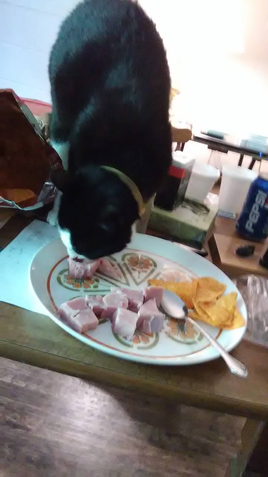 I Dont Care Eatery and Spirits | restaurant | 6255 Grand Central Ave, Parkersburg, WV 26105, USA | 6812293043 OR +1 681-229-3043