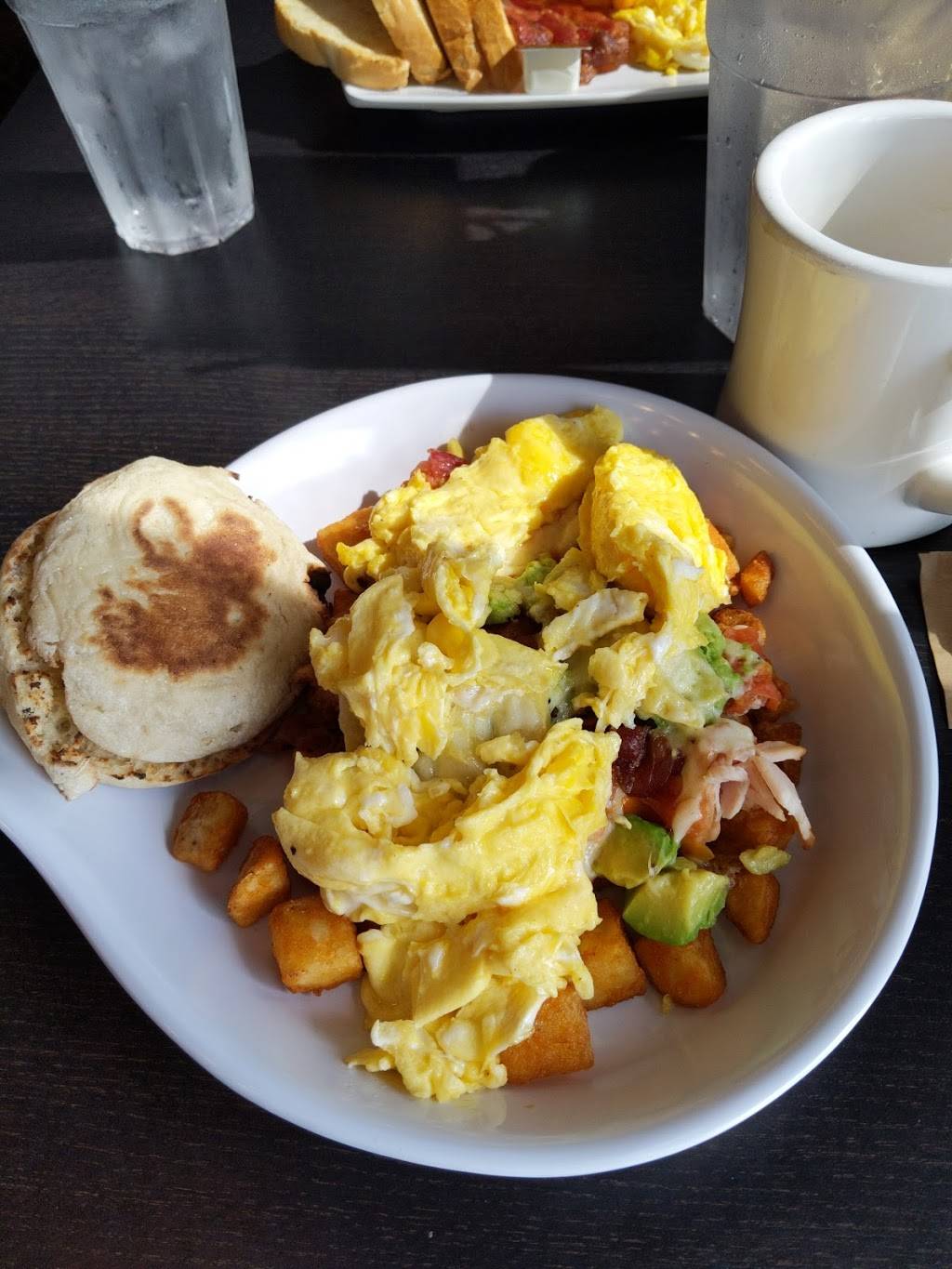 Canopy Road Cafe-Jacksonville | restaurant | 12525 Philips Hwy #201, Jacksonville, FL 32256, USA | 9043798928 OR +1 904-379-8928