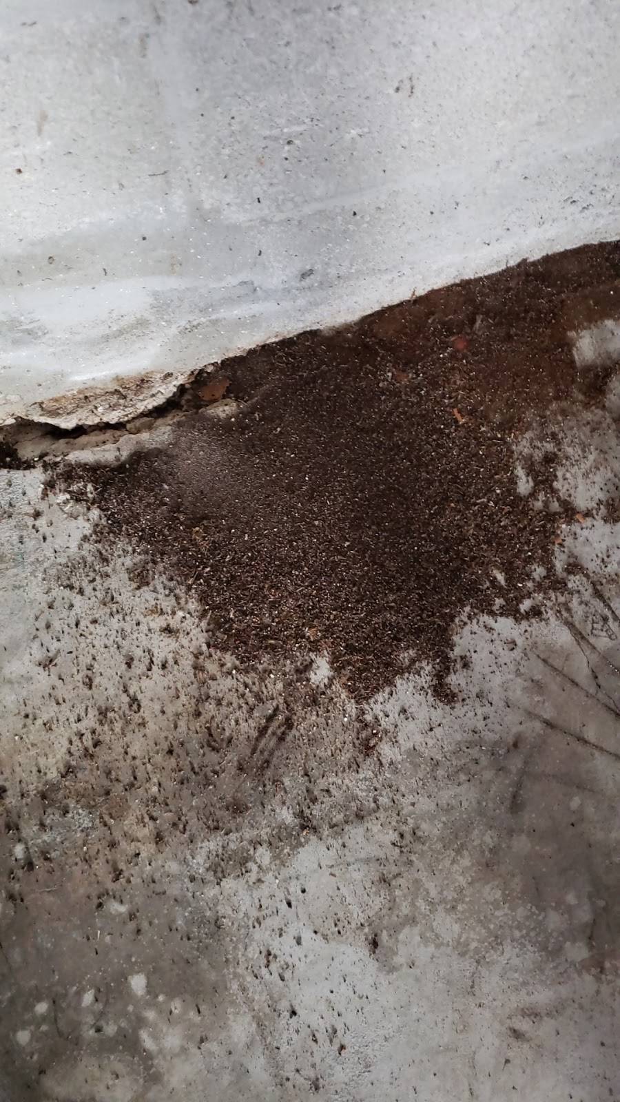 Pizza House | restaurant | 3068 Lake Worth Rd, Lake Worth, FL 33461, USA | 5612962900 OR +1 561-296-2900