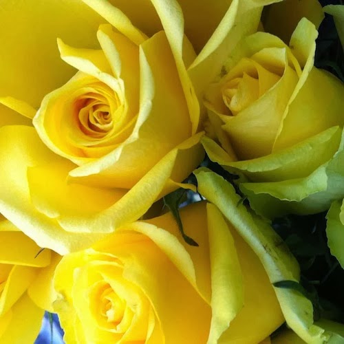 Yellow Vase | bakery | 810 Silver Spur Rd # A, Rolling Hills Estates, CA 90274, USA | 3105410013 OR +1 310-541-0013