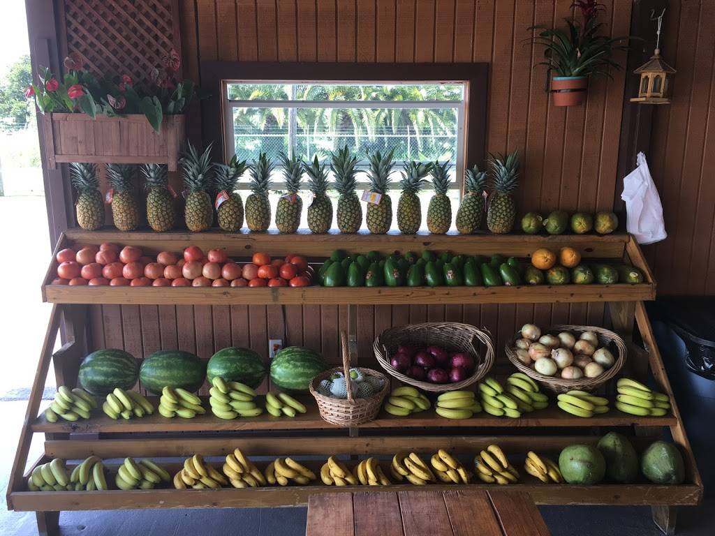 Country Fruits & Juices | restaurant | Miami, FL 33196, USA | 7863260115 OR +1 786-326-0115