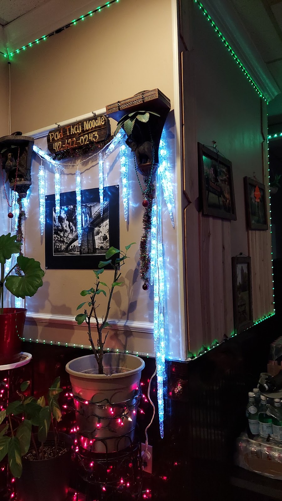 Chiang Mai Noodle | restaurant | 256 N Craig St, Pittsburgh, PA 15213, USA | 4126220243 OR +1 412-622-0243