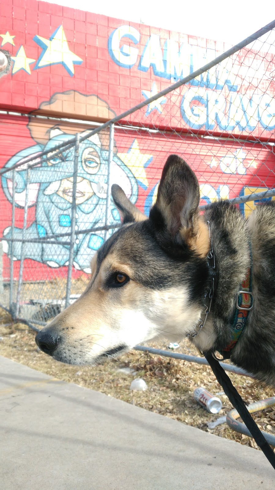 Blackjack Pizza & Salads | meal delivery | 1808 E Colfax Ave, Denver, CO 80218, USA | 3033338811 OR +1 303-333-8811