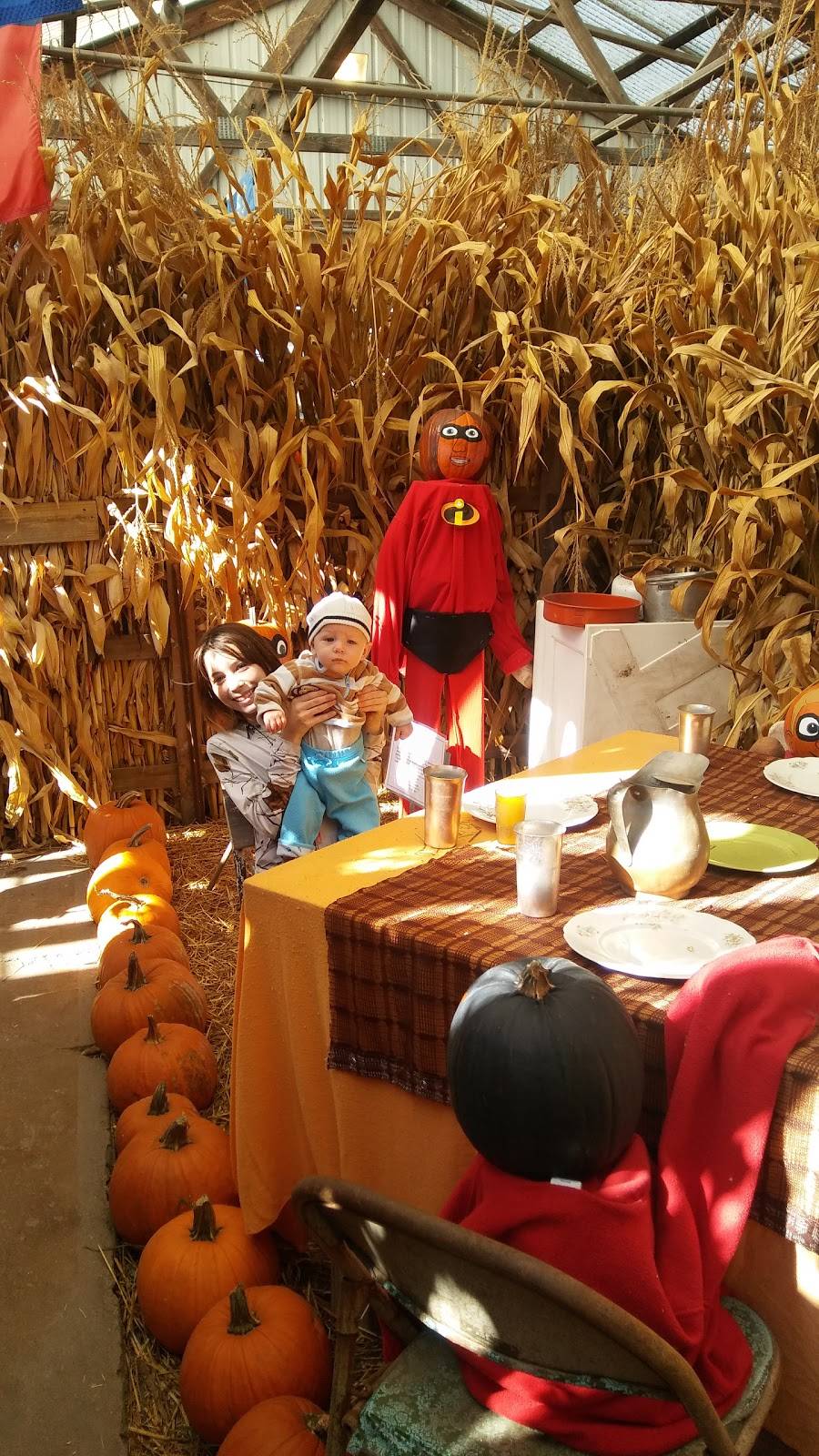 Fashion Farm Inc | restaurant | 1680 Lincolnway W, Ligonier, IN 46767, USA | 2608944498 OR +1 260-894-4498