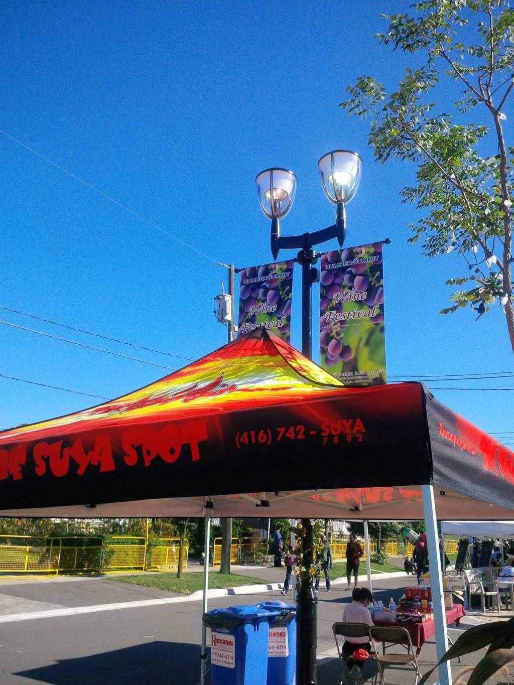 The Suya Spot | restaurant | 12 Bradstock Rd #10, North York, ON M9M 1M8, Canada | 4167427892 OR +1 416-742-7892