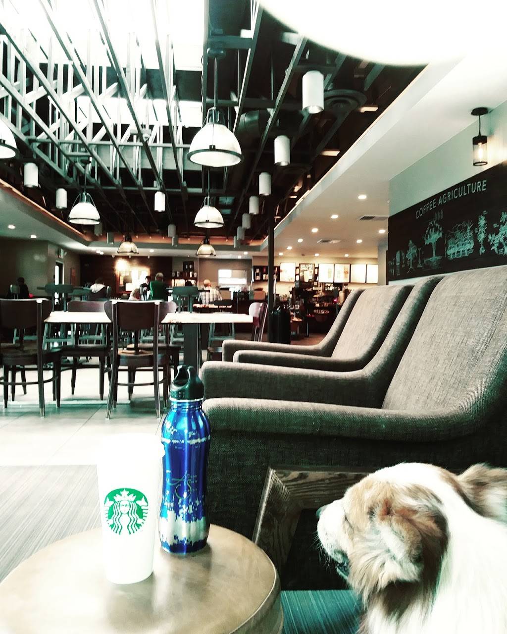 Starbucks | cafe | 865 Lighthouse Ave, Monterey, CA 93940, USA | 8316569390 OR +1 831-656-9390