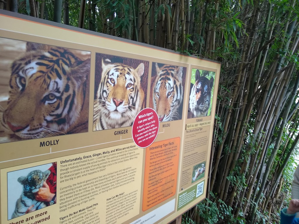 Tuskers Grill at Oakland Zoo | cafe | 9777 Golf Links Rd, Oakland, CA 94605, USA | 5106329525 OR +1 510-632-9525