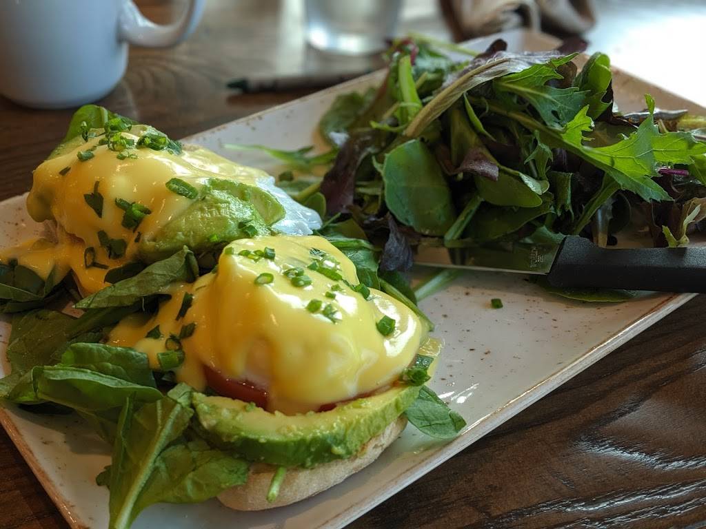 First Watch - Trinity | restaurant | 3240 Redeemer Way Suite E-3, New Port Richey, FL 34655, USA | 7272919944 OR +1 727-291-9944