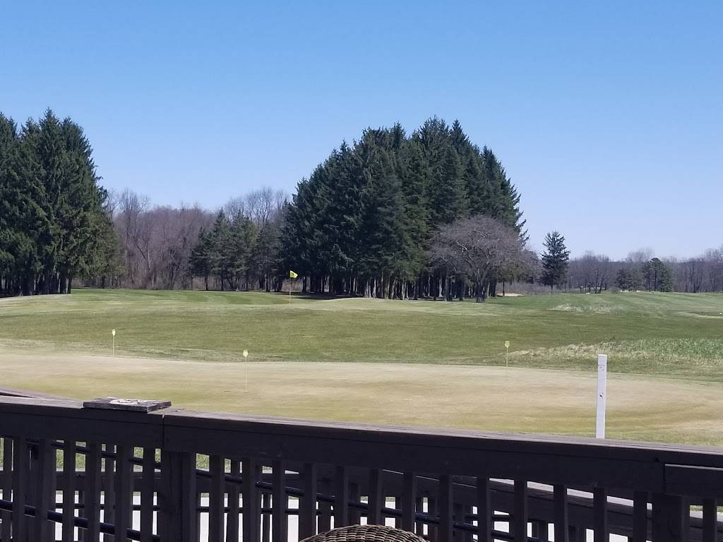 Water Tower Grille and Smokehouse | restaurant | 8100 Storey Rd, Belding, MI 48809, USA | 6166080685 OR +1 616-608-0685