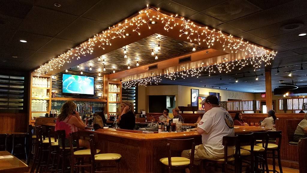 Outback Steakhouse | restaurant | 5605 W Bell Rd, Glendale, AZ 85308, USA | 6025473236 OR +1 602-547-3236