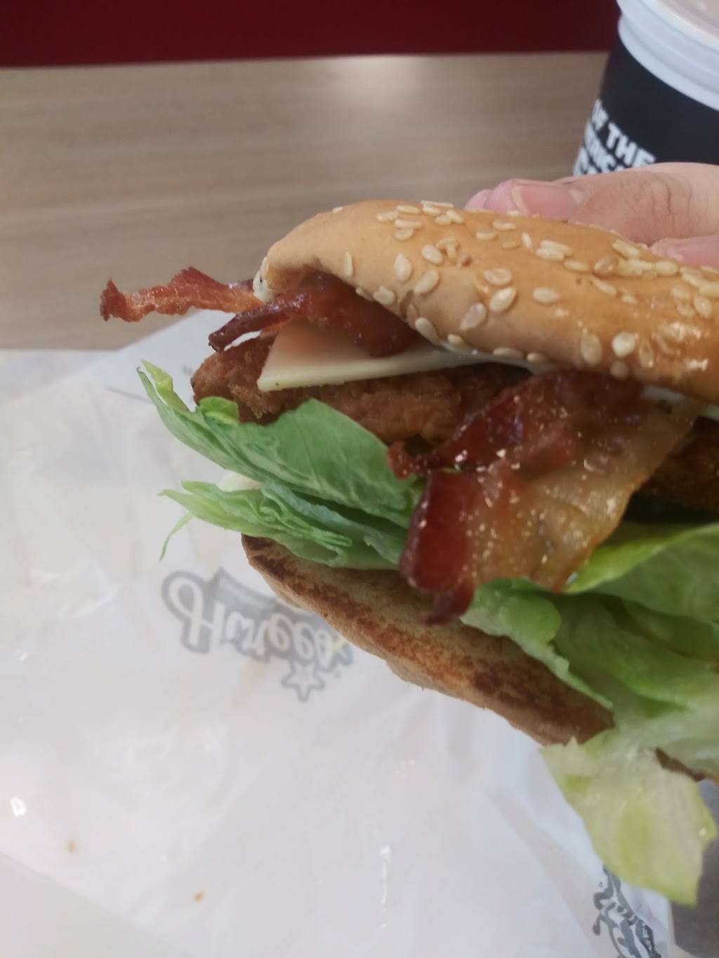 Hardees | restaurant | 10005 Dorchester Rd, Summerville, SC 29485, USA | 8438735740 OR +1 843-873-5740