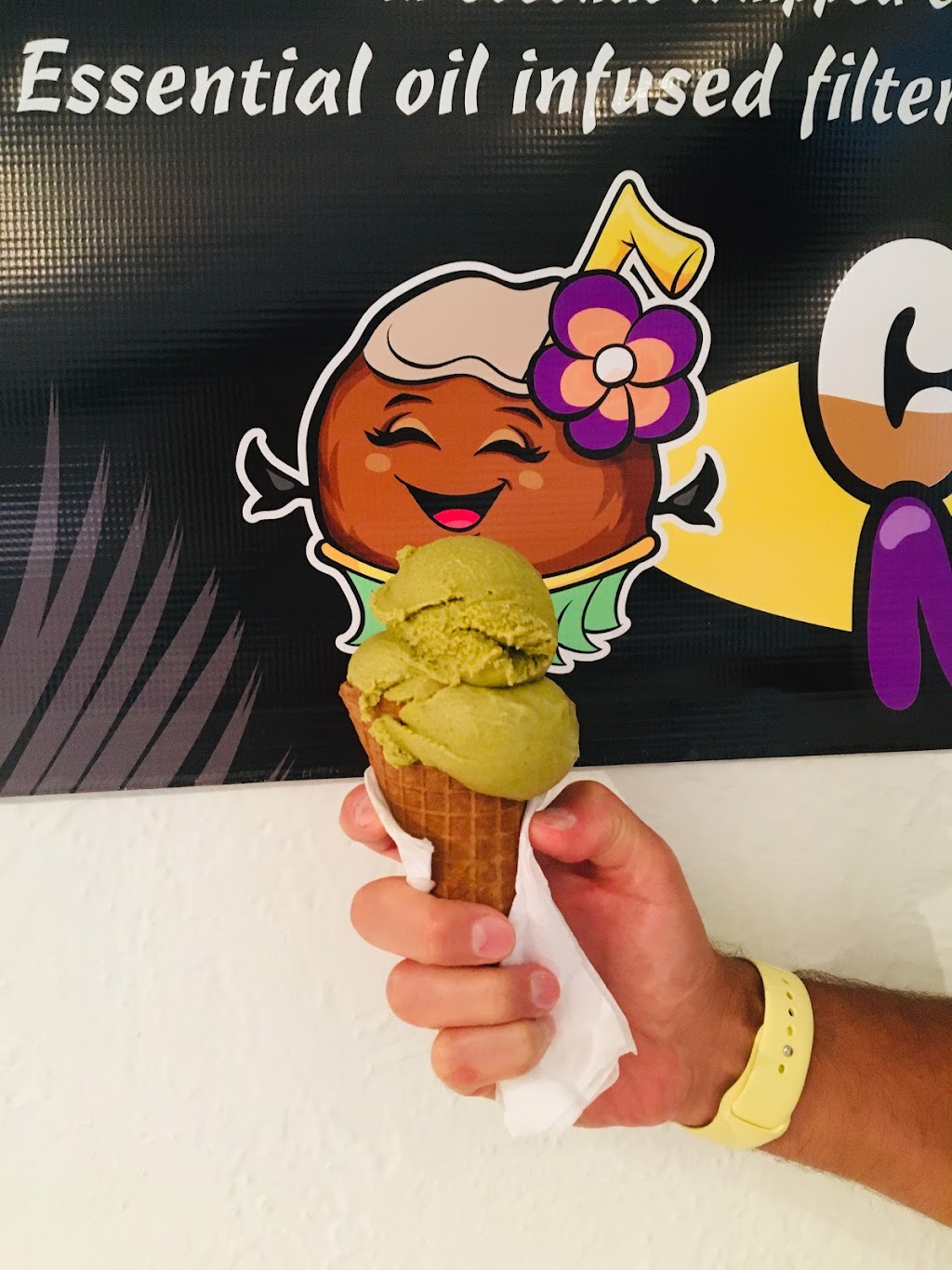 Coco NIce | restaurant | 3407 S MacDill Ave, Tampa, FL 33629, USA | 8134172644 OR +1 813-417-2644