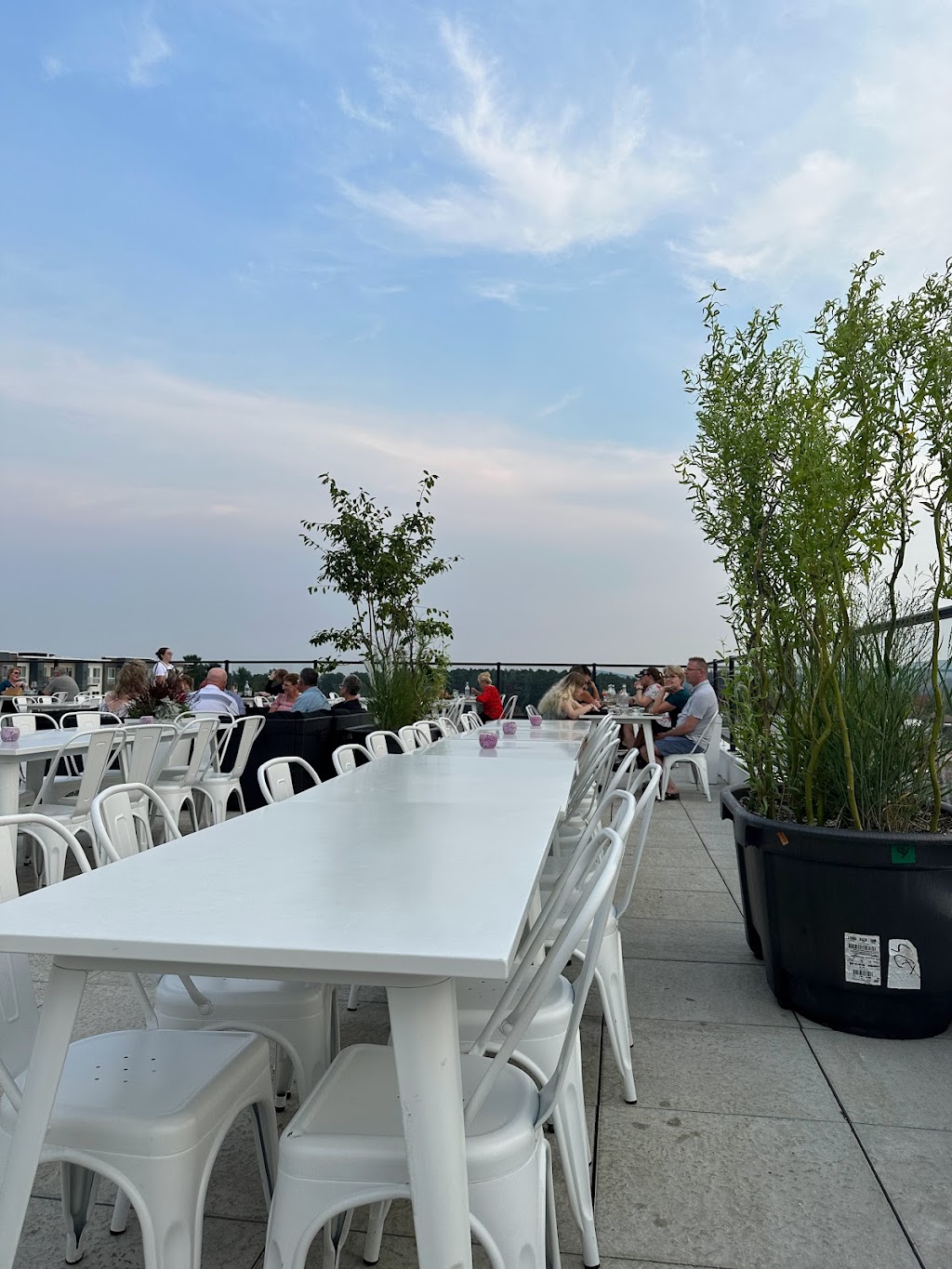 The Velveteen Plum | restaurant | 1520 Elm St, Wausau, WI 54401, USA | 7157273380 OR +1 715-727-3380