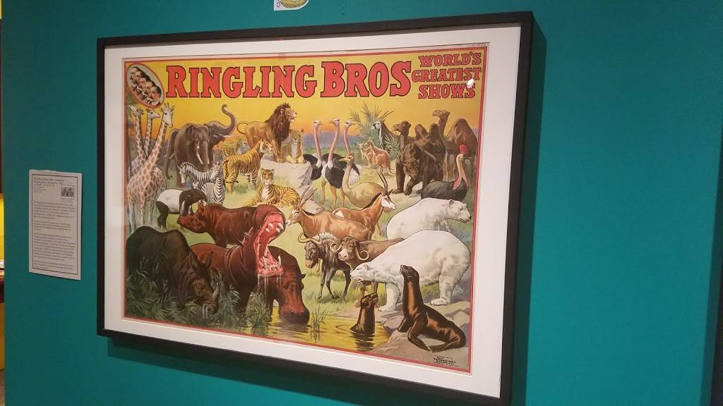 Banyan Café | cafe | 5401 Bay Shore Rd, Sarasota, FL 34243, USA | 9413593183 OR +1 941-359-3183