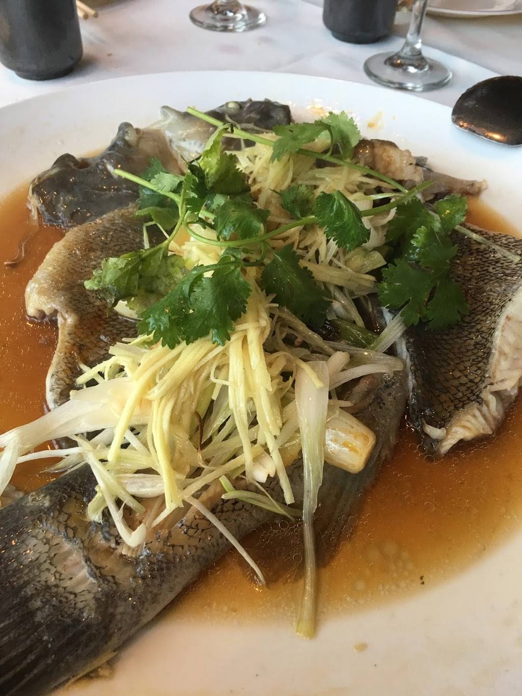 Hunan Village II | restaurant | 222 E Hartsdale Ave, Hartsdale, NY 10530, USA | 9144723838 OR +1 914-472-3838