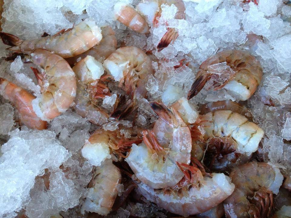 Sanders Fish Market | restaurant | 367 Marcy St, Portsmouth, NH 03801, USA | 6034364568 OR +1 603-436-4568