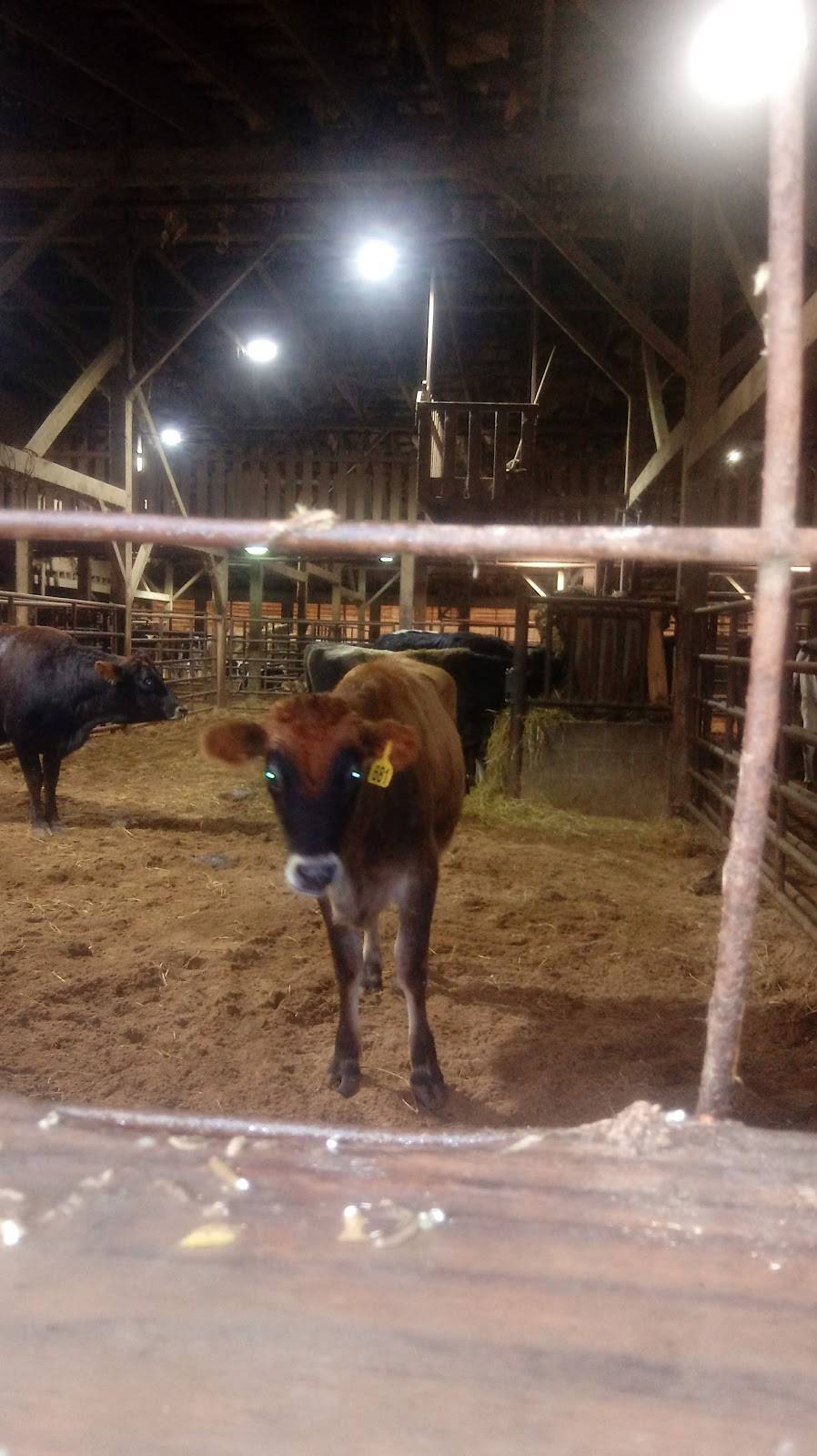 Sugarcreek Stockyard | restaurant | 102 Buckeye St, Sugarcreek, OH 44681, USA | 3308311720 OR +1 330-831-1720