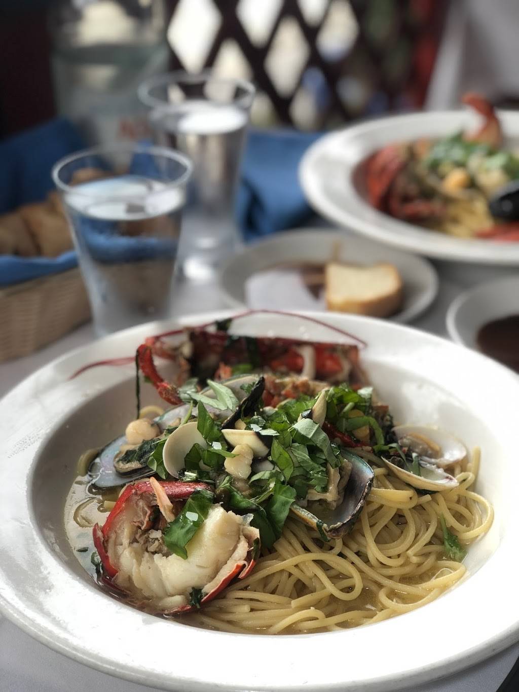 Cafe Milano | restaurant | 5016, 711 Pearl St, La Jolla, CA 92037, USA | 8584543806 OR +1 858-454-3806